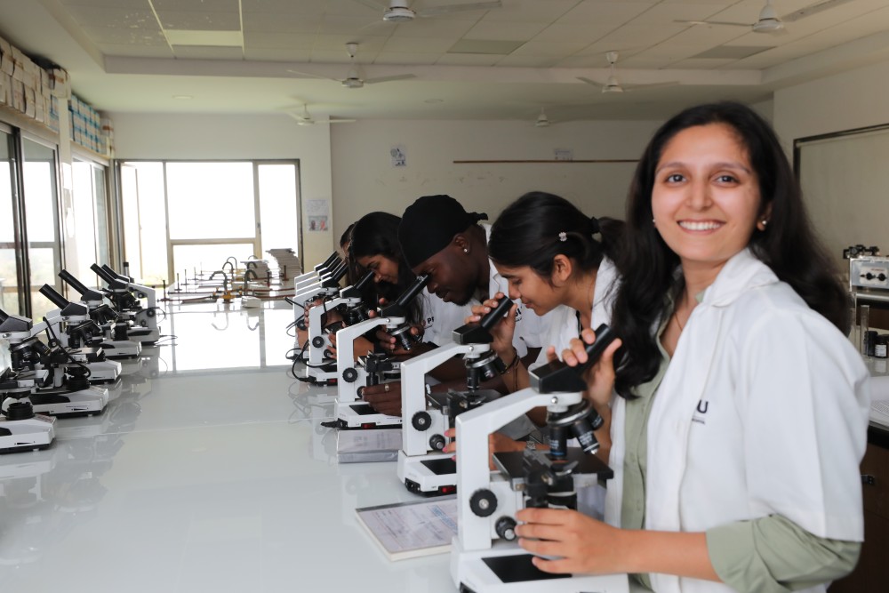 School of Pharmacy