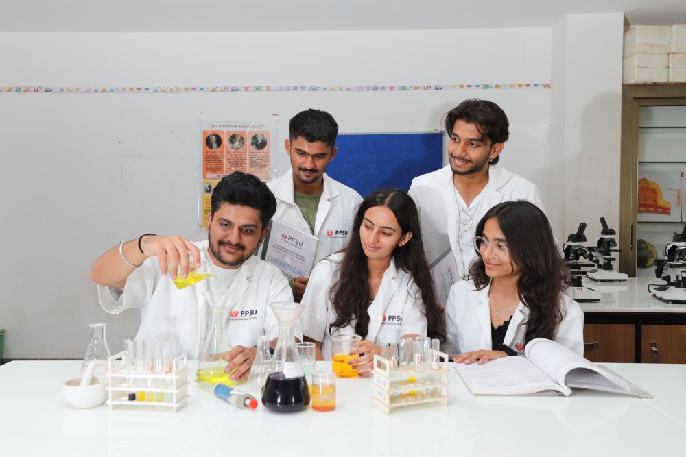 School of Sciences