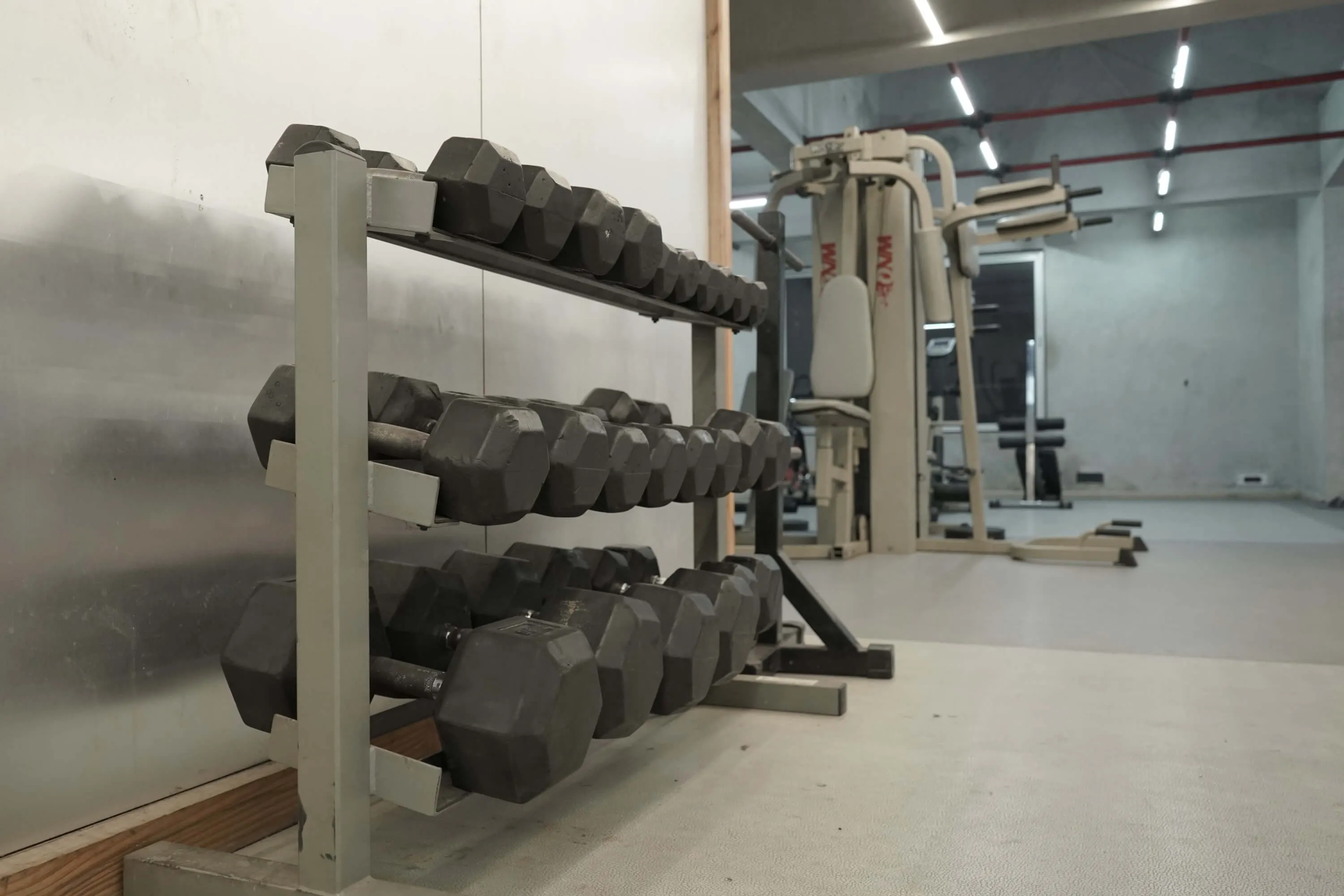 Dumbbells Rack Boys Gym Equipments