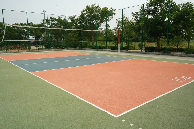 Jimmy George - Volleyball Court