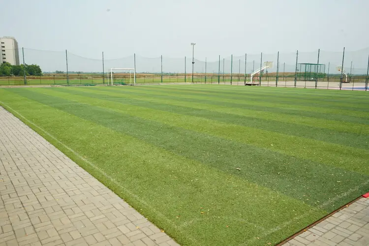 Major Dhyanchand Sports Arena - Football Turf