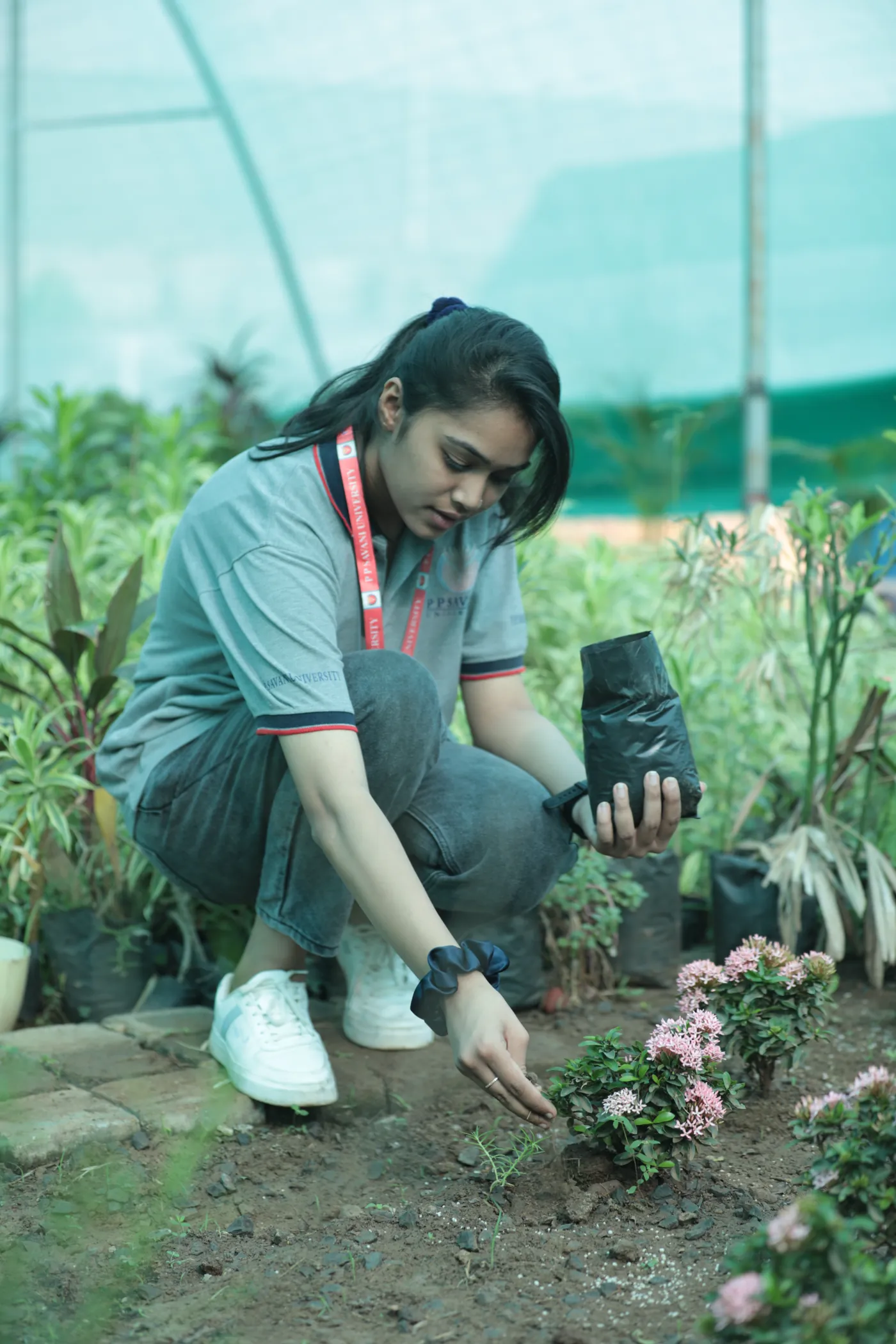 Agriculture student working with plants in the PPSU nursery