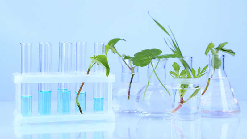 Environmental Sciences